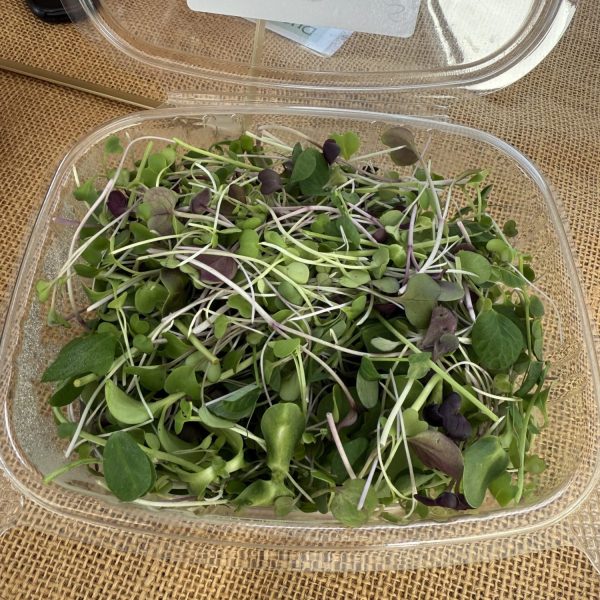 DustyMix Microgreens 3oz