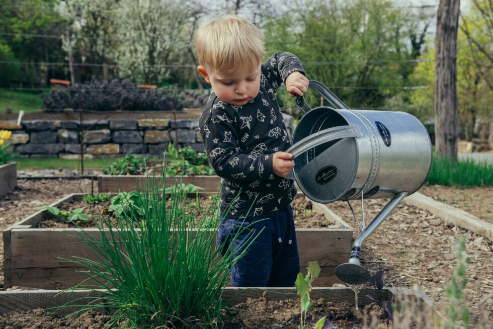Why We Need a New Kind of Homesteading